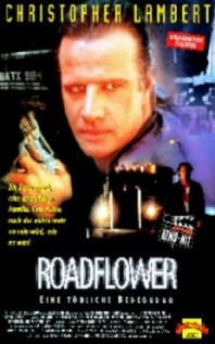 The Road Killers