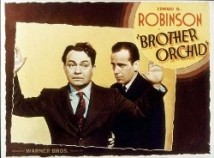 Brother Orchid