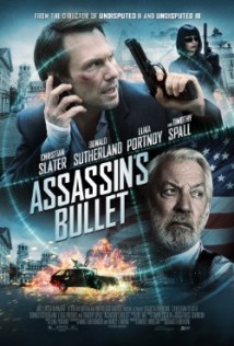 Assassin's Bullet (I)