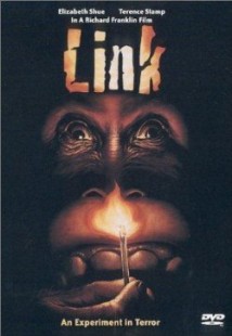 Link