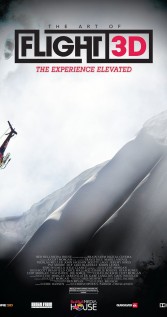 The Art of Flight