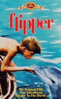 Flipper