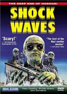 Shock Waves