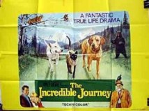 The Incredible Journey