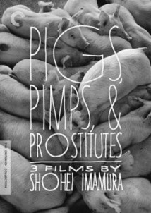 Pigs and Battleships