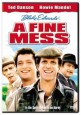 A Fine Mess