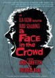 A Face in the Crowd