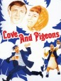 Love and Doves