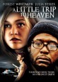 A Little Trip to Heaven