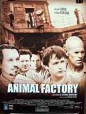Animal Factory