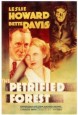 The Petrified Forest