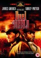 Duel at Diablo
