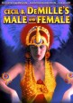 Male and Female