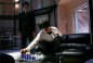 Death Note: The Last Name