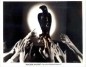 The Maltese Falcon