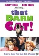 That Darn Cat!