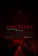 The Reeds