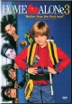 Home Alone 3