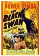 The Black Swan
