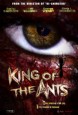 King of the Ants (I)