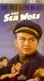 The Sea Wolf