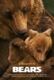 Bears (I)